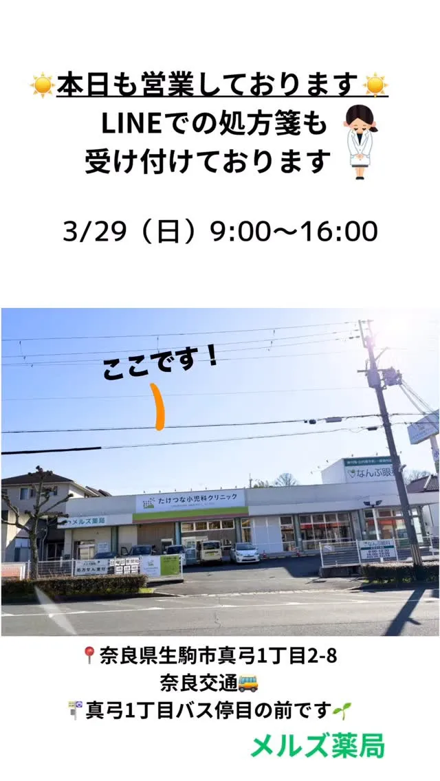 桜が咲き始めてきましたね